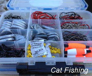 Cat Fishing Gear